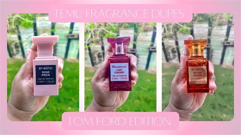 temu fragrance dupes